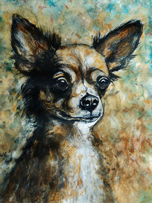 (noch nicht fertiggestellt) - HUND Nr.8; 51,5x41,5 cm; Aquarell/Gesso mit Passepartout, Plexiglas und Rahmen; Preis € 200,-