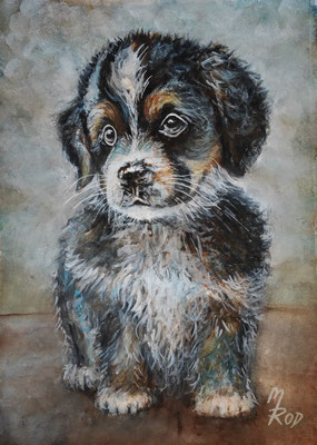 HUND Nr.6; 51,5x41,5cm; Aquarell/Ghesso mit Passepartout, Plexiglas und Rahmen (Original nicht mehr erhältlich)