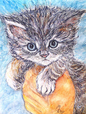 KATZE Nr.19, 40x30 cm, Acryl auf Aquarellpapier mit Passepartout hinter Plexiglas inklusive Rahmen (NICHT ERHÄLTLICH)