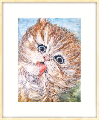 KATZE Nr.24; 51,5x41,5cm; Aquarell/Gesso mit Passepartout, Plexiglas und Rahmen; Preis € 200,-