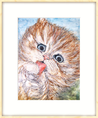 KATZE Nr.24; 51,5x41,5cm; Aquarell/Gesso mit Passepartout, Plexiglas und Rahmen