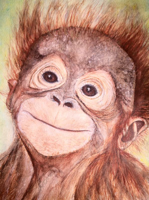 ORANG UTAN-BABY Nr.2; 51,5x41,5 cm; Aquarell/Gesso mit Passepartout und Rahmen