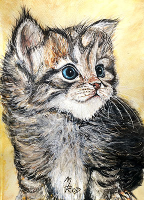 KATZE Nr.9; 52,5x42,5 cm; Aquarell mit Passepartout und Rahmen (Original nicht mehr erhältlich)