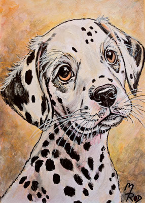 HUND Nr.15, 30x21 cm, Acryl auf Aquarellpapier hinter Plexiglas inklusive Rahmen, Preis € 120,-