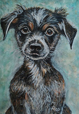 HUND Nr.7, 40x30 cm, Acryl auf Aquarellpapier hinter Plexiglas inklusive Rahmen, Preis € 180,-