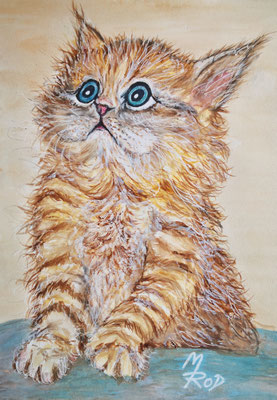 KATZE Nr.16, 40x30 cm, Acryl auf Aquarellpapier mit Passepartout hinter Plexiglas inklusive Rahmen (NICHT ERHÄLTLICH)