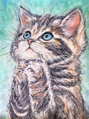 KATZE Nr.22, 40x30 cm, Acryl auf Aquarellpapier mit Passepartout hinter Plexiglas inklusive Rahmen (NICHT ERHÄLTLICH)