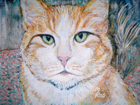 KATZE Nr.34; 50x40 cm; Aquarell/Ghesso mit Passepartout, Plexiglas und Rahmen (Original nicht mehr erhältlich) 