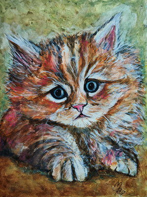 (noch in Arbeit) KATZE Nr.21; 51,5x41,5cm; Aquarell/Gesso mit Passepartout, Plexiglas und Rahmen