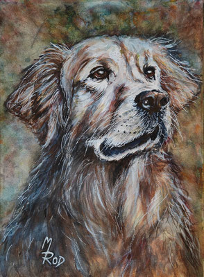 HUND Nr.5; 51,5x41,5cm; Aquarell/Gesso mit Passepartout, Plexiglas und Rahmen; Preis € 200,-