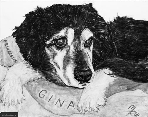 HUND GINA (NICHT ERHÄLTLICH) 