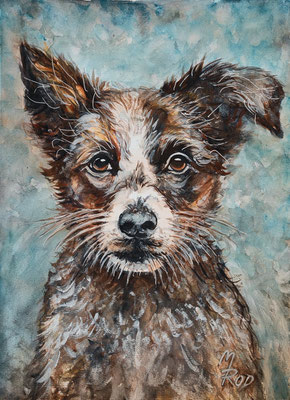 HUND Nr.4; 51,5x41,5 cm; Aquarell/Gesso mit Passepartout, Plexiglas und Rahmen; Preis € 200,-