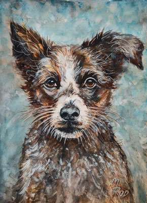 HUND Nr.4; 51,5x41,5 cm; Aquarell/Gesso mit Passepartout, Plexiglas und Rahmen (Original nicht mehr erhältlich)