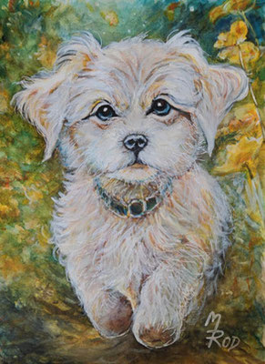 HUND Nr.1, 40x30 cm, Acryl auf Aquarellpapier hinter Plexiglas inklusive Rahmen (NICHT ERHÄLTLICH)
