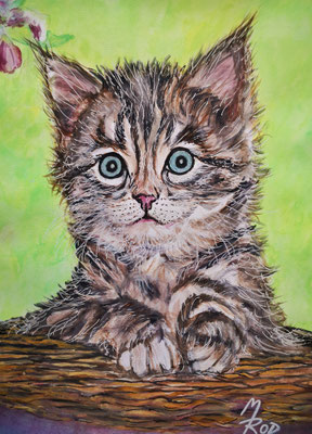 KATZE Nr.14, 40x30 cm, Acryl auf Aquarellpapier mit Passepartout hinter Plexiglas inklusive Rahmen (NICHT ERHÄLTLICH)