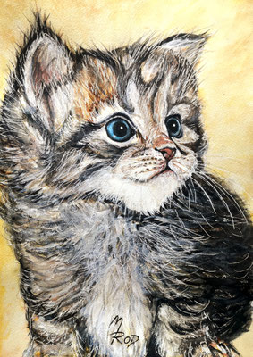 KATZE Nr.9, 40x30 cm, Acryl auf Aquarellpapier mit Passepartout hinter Plexiglas inklusive Rahmen (NICHT ERHÄLTLICH)