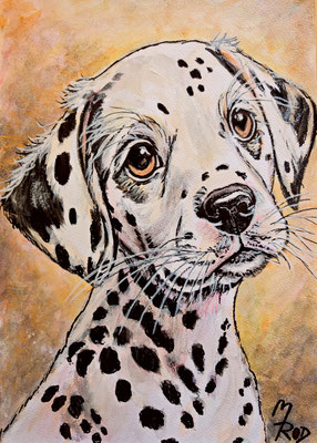 HUND Nr.15; 30,5x21,5 cm; Acryl auf Aquarellpapier hinter Plexiglas inklusive Rahmen; Preis € 120,-