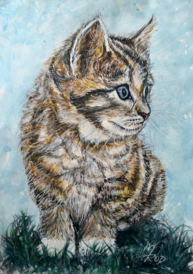 KATZE Nr.8; 52,5x42,5 cm; Aquarell mit Passepartout und Rahmen (Original nicht mehr erhältlich) 