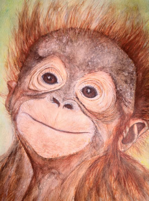 AFFE Nr.4, 40x30 cm, Acryl auf Aquarellpapier hinter Plexiglas inklusive Rahmen, Preis € 200,-