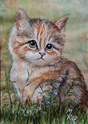 KATZE Nr.33; 51,5x41,5 cm; Aquarell/Gesso mit Passepartout, Plexiglas und Rahmen (Original nicht mehr erhältlich) 