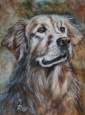 HUND Nr.5, 40x30 cm, Acryl auf Aquarellpapier hinter Plexiglas inklusive Rahmen, Preis € 180,-