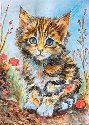 NEU (noch nicht fertiggestellt) - KATZE Nr. ; 30x21 cm; Aquarell inkl. Rahmen und Plexiglas; Preis € 150,-