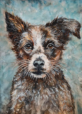 HUND Nr.4, 40x30 cm, Acryl auf Aquarellpapier hinter Plexiglas inklusive Rahmen (NICHT ERHÄLTLICH)