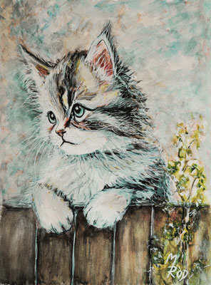 KATZE Nr.31; 50x40 cm; Aquarell mit Passepartout, Plexiglas und Rahmen (Original nicht mehr erhältlich)