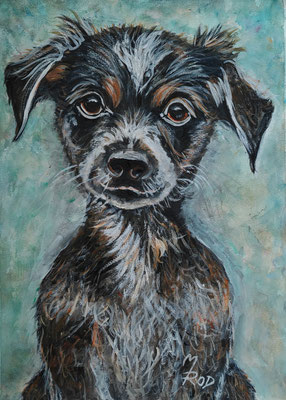 (noch nicht fertiggestellt) - HUND Nr.11; 51,5x41,5 cm; Aquarell/Gesso mit Passepartout, Plexiglas und Rahmen; Preis € 200,-