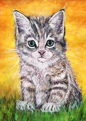 KATZE Nr.28, 40x30 cm, Acryl auf Aquarellpapier mit Passepartout hinter Plexiglas inklusive Rahmen (NICHT ERHÄLTLICH)