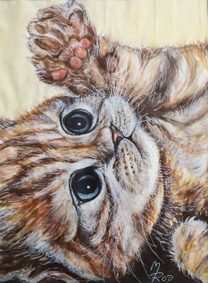 KATZE Nr.6; 52,5x42,5 cm; Aquarell mit Passepartout und Rahmen (Original nicht mehr erhältlich)