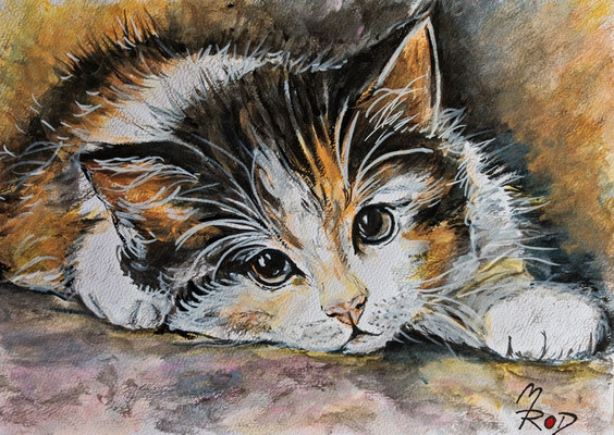 KATZE Nr.39; 21,5x30,5 cm; Acryl auf Aquarellpapier hinter Plexiglas inklusive Rahmen; Preis € 120,-