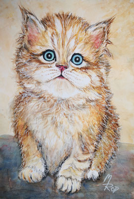 KATZE Nr.15, 40x30 cm, Acryl auf Aquarellpapier mit Passepartout hinter Plexiglas inklusive Rahmen (NICHT ERHÄLTLICH)