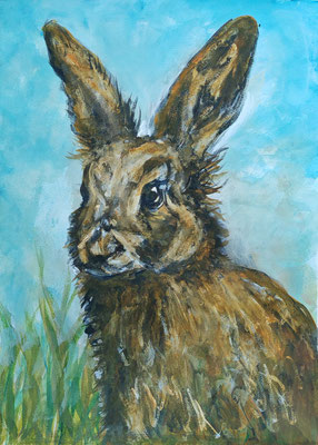 (noch nicht fertiggestellt) - HASE Nr.1; 51,5x41,5 cm; Aquarell/Gesso mit Passepartout, Plexiglas und Rahmen; Preis € 200,-