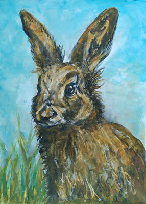 (noch in Arbeit) HASE Nr.1; 51,5x41,5 cm; Aquarell/Gesso mit Passepartout, Plexiglas und Rahmen