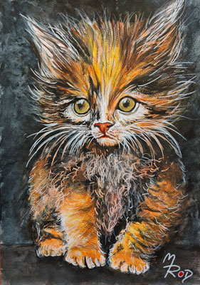 KATZE Nr.42; 30,5x21,5 cm; Acryl auf Aquarellpapier hinter Plexiglas inklusive Rahmen; Preis € 120,-