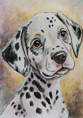 NEU (noch nicht fertiggestellt) - HUND Nr. ; 30x21 cm; Aquarell inkl. Rahmen und Plexiglas; Preis € 150,-