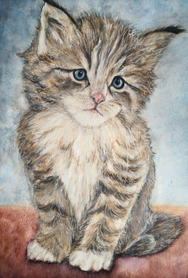 KATZE Nr.1; 51,5x41,5 cm; Aquarell mit Passepartout und Rahmen (Original nicht mehr erhältlich)