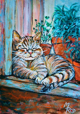 KATZE Nr.49; 30,5x21,5 cm; Acryl auf Aquarellpapier hinter Plexiglas inklusive Rahmen; Preis € 120,-