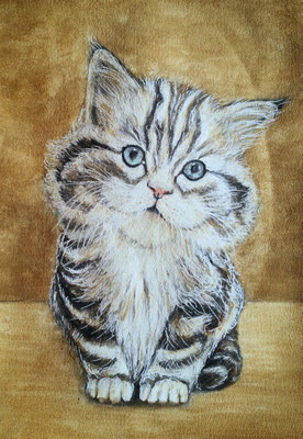 KATZE Nr.1, 40x30 cm, Acryl auf Aquarellpapier mit Passepartout hinter Plexiglas inklusive Rahmen (NICHT ERHÄLTLICH)