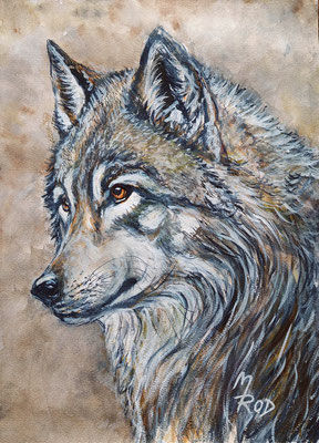 WOLF Nr.1; 51,5x41,5cm; Aquarell/Gesso mit Passepartout, Plexiglas und Rahmen; Preis € 200,-