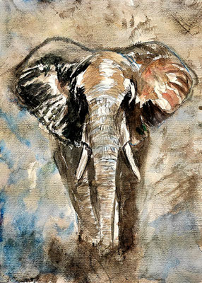 (noch nicht fertiggestellt) - ELEFANT Nr.1; 51,5x41,5 cm; Aquarell/Gesso mit Passepartout, Plexiglas und Rahmen; Preis € 200,-