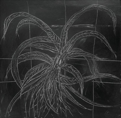 PLANT CAGE; 60x60 cm; Acryl auf Leinen; Preis € 350,-