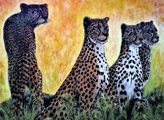 CHEETHAS; 70x100 cm; Öl auf Leinen mit Schlussfirnis seidenmatt; Preis € 500,-