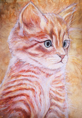 KATZE Nr.3; 51,5x41,5 cm; Aquarell mit Passepartout und Rahmen (Original nicht mehr erhältlich) 