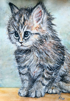 KATZE Nr.10; 52,5x42,5 cm; Aquarell mit Passepartout und Rahmen (Original nicht mehr erhältlich)