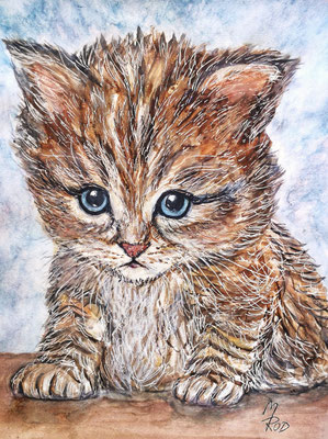 KATZE Nr.20, 40x30 cm, Acryl auf Aquarellpapier mit Passepartout hinter Plexiglas inklusive Rahmen (NICHT ERHÄLTLICH)