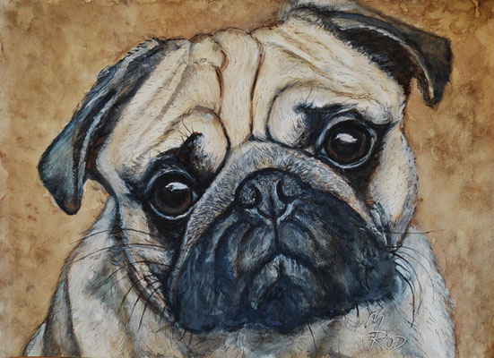 HUND Nr.1; 41,5x50,5 cm; Aquarell/Gesso mit Passepartout, Plexiglas und Rahmen; Preis € 200,-
