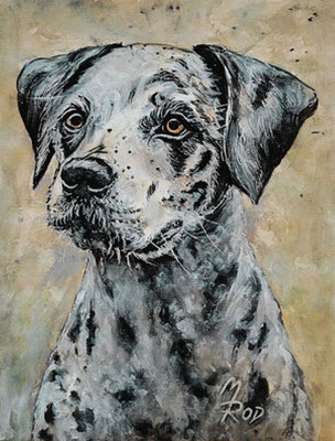HUND Nr.3, 40x30 cm, Acryl auf Aquarellpapier hinter Plexiglas inklusive Rahmen, Preis € 180,-