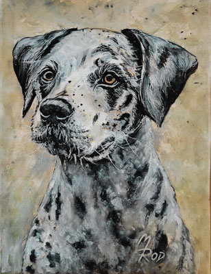 HUND Nr.3; 51,5x41,5 cm; Aquarell/Gesso mit Passepartout, Plexiglas und Rahmen; Preis € 140,-